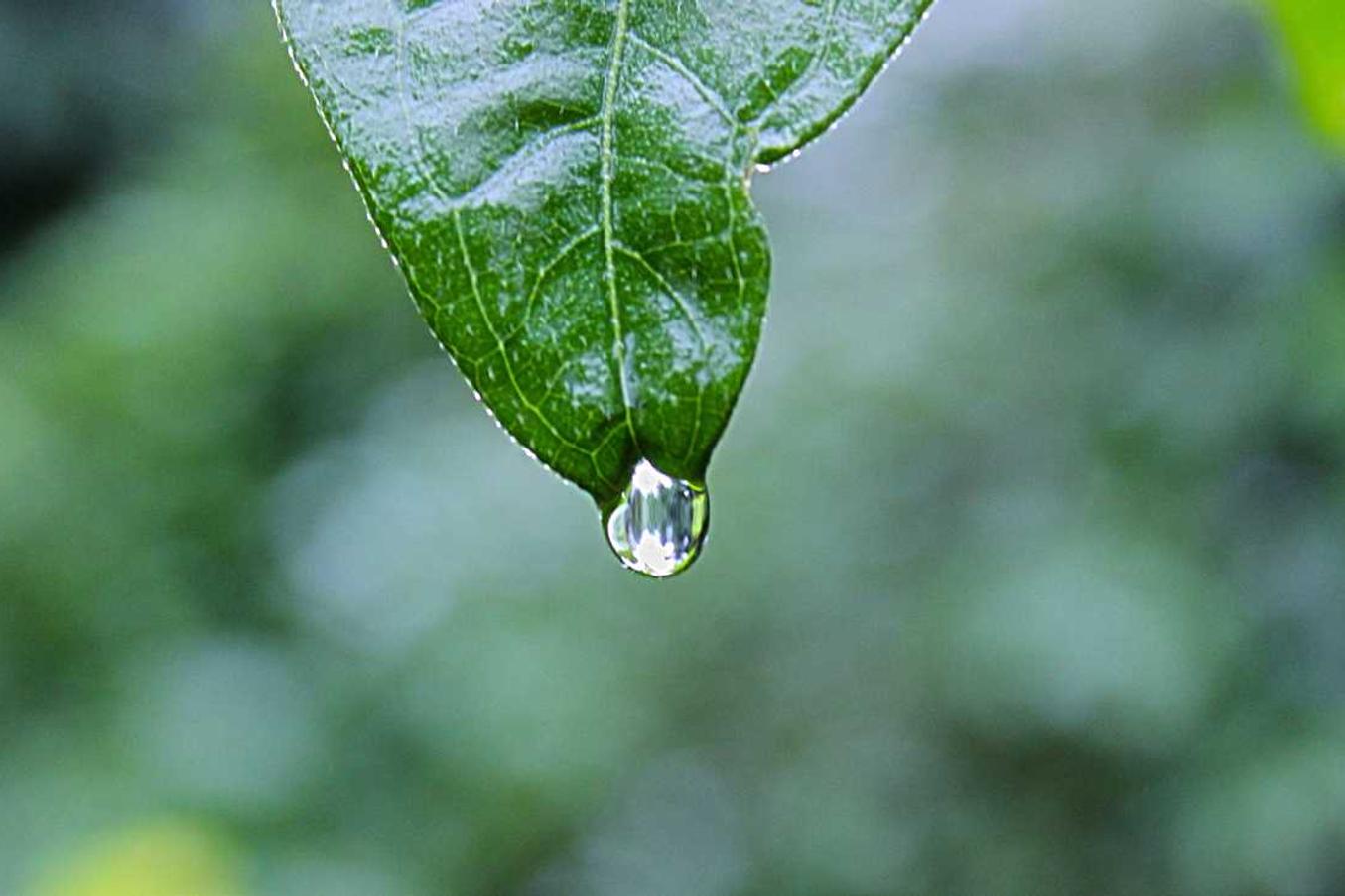 Nesciunt alias assumenda et